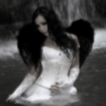 3677067_1247421174_x_bb5443bd (150x150, 21Kb)