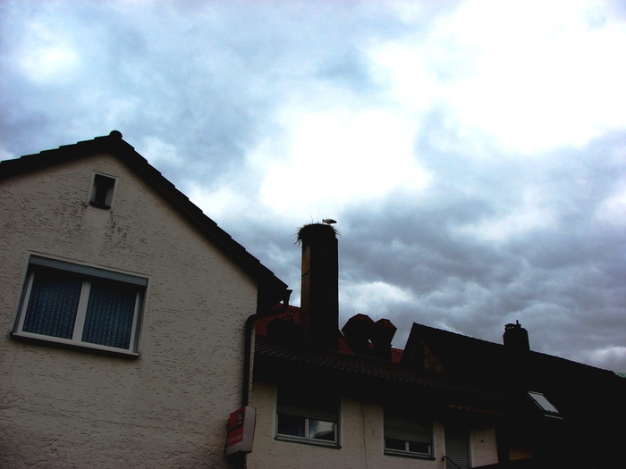 DSC09672 (700x525, 144Kb)