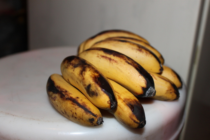 IMG_0010 (700x466, 137Kb)