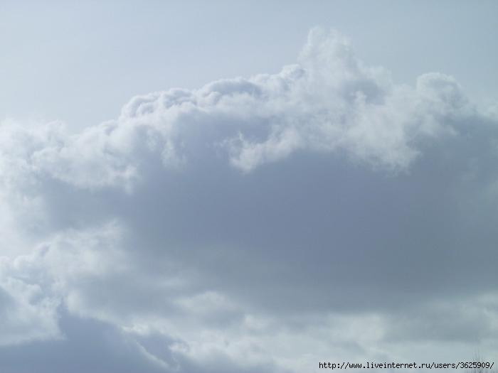 P1010080 (700x525, 100Kb)