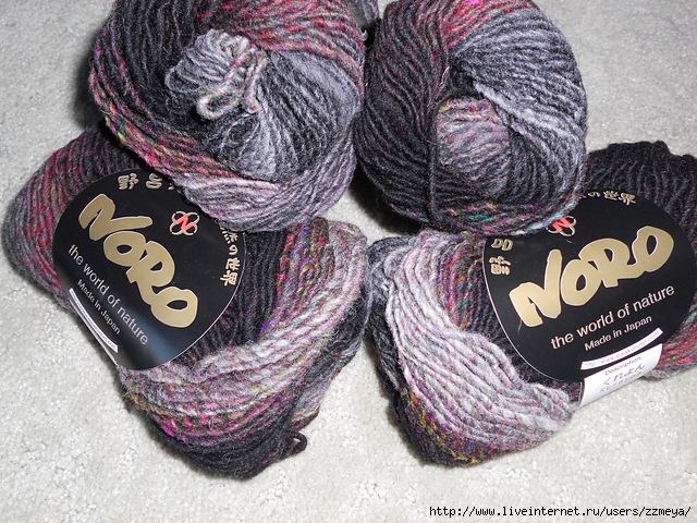 DSCN0102_medium2 (640x480, 367Kb)