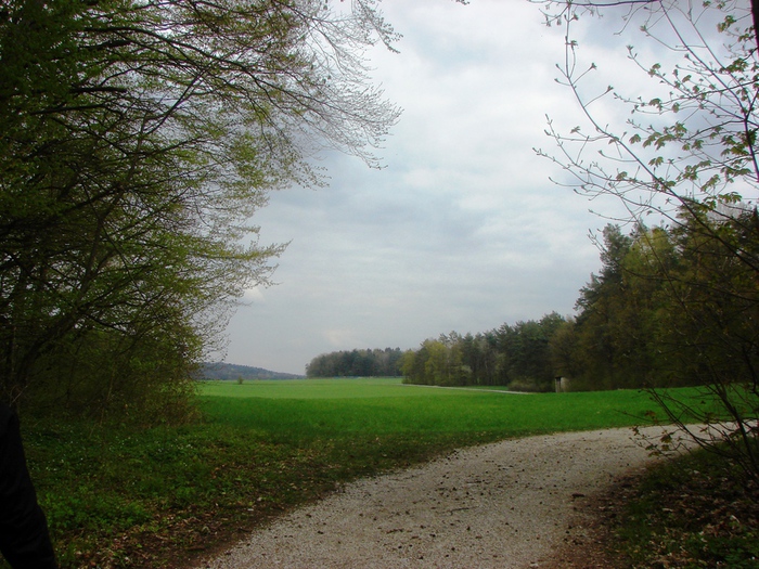 DSC09718 (700x525, 224Kb)