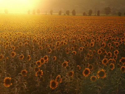 3587918_tumblr_lio5nzIfoc1qi24uno1_400_large (400x300, 56Kb)