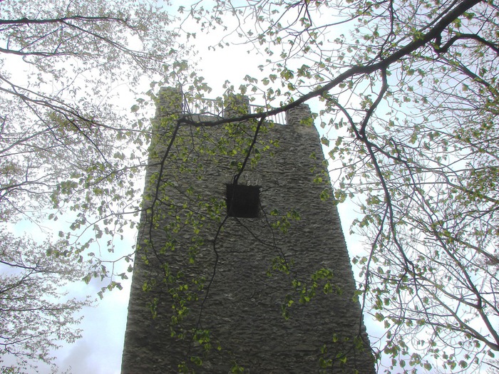 DSC09764 (700x525, 213Kb)