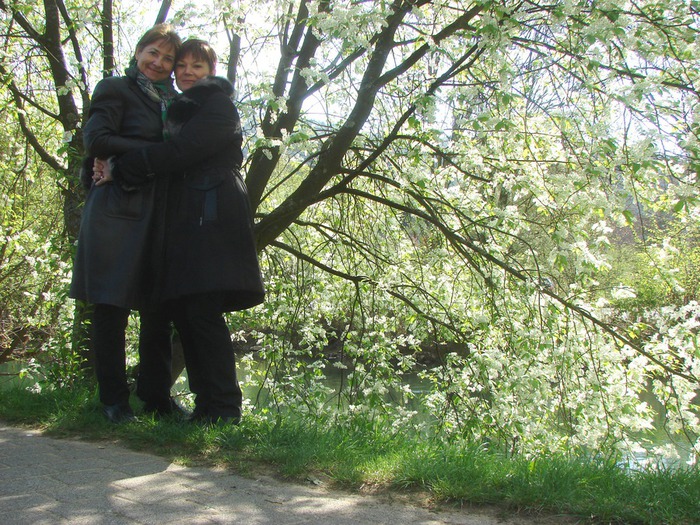 DSC09778 (700x525, 204Kb)