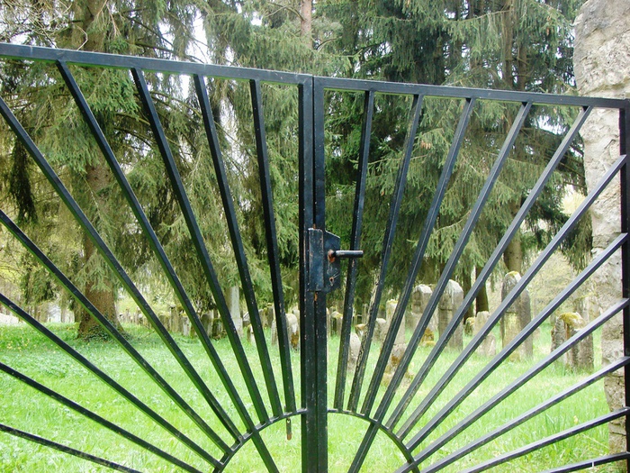 DSC09749 (700x525, 248Kb)