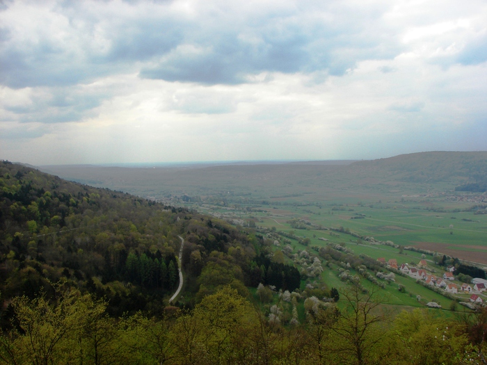 DSC09728 (700x525, 177Kb)