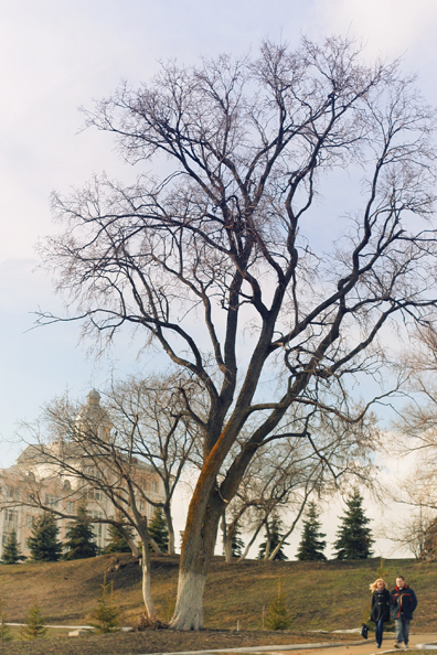 IMG_0500��� (396x594, 313Kb)