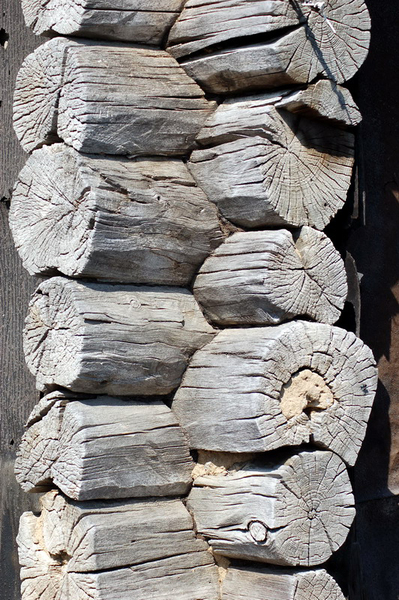 3392780_DSC_8191 (399x600, 277Kb)
