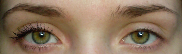 4197424_Dior1 (700x209, 40Kb)