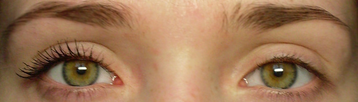 4197424_greit_lesh (700x200, 40Kb)