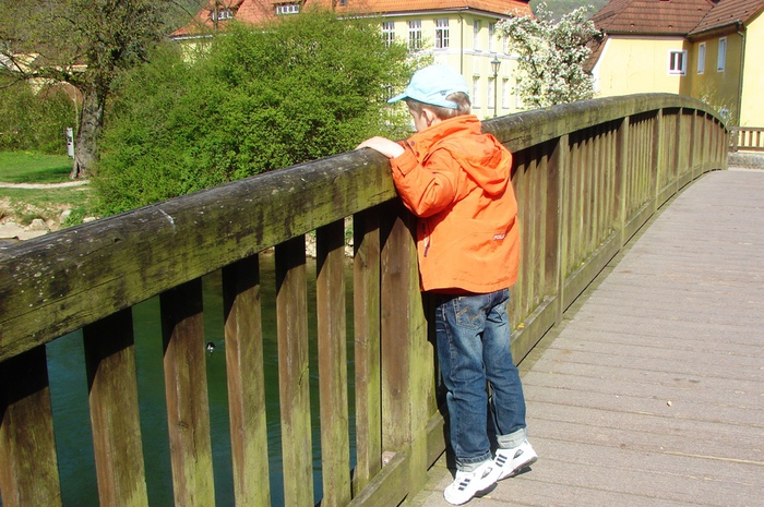 DSC09805 (700x465, 190Kb)