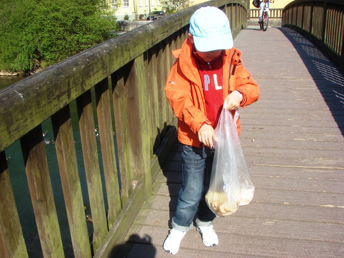 DSC09808 (700x525, 200Kb)