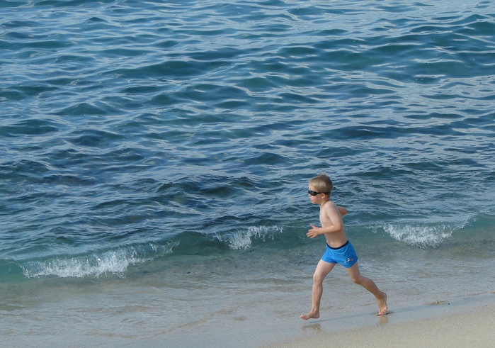 DSC06224 (700x491, 189Kb)