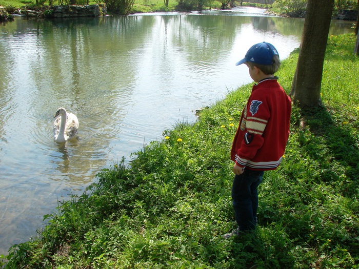 DSC09907 (700x525, 205Kb)