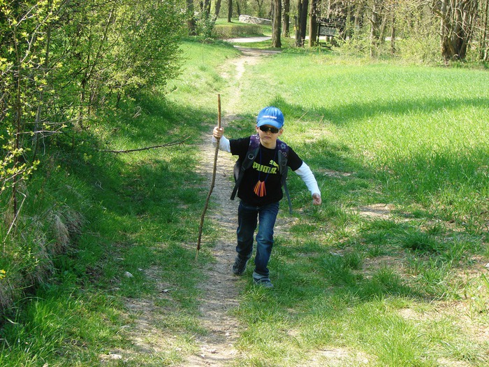 DSC09936 (700x525, 207Kb)