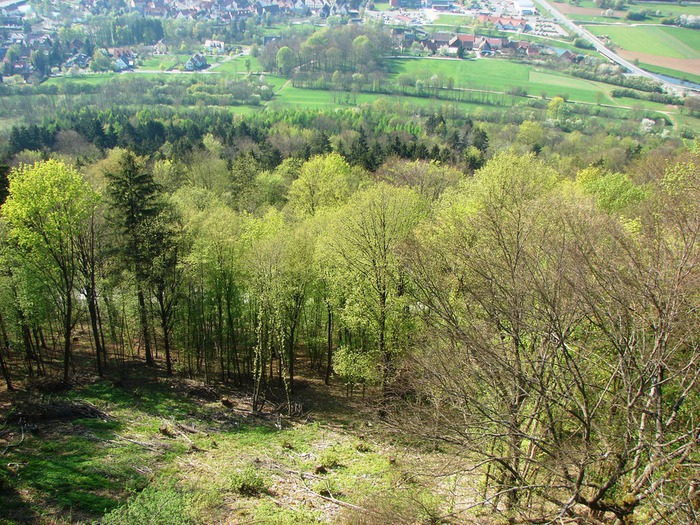 DSC09969 (700x525, 210Kb)