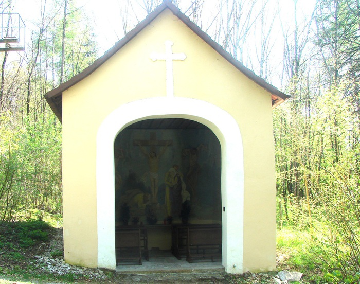 DSC09977 (700x552, 174Kb)