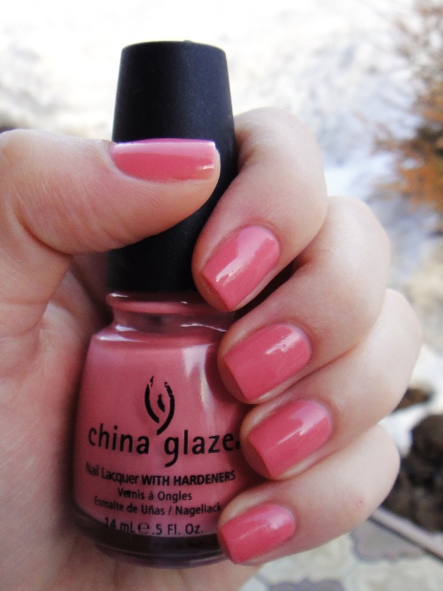 DSC01154 (500x667, 166Kb)