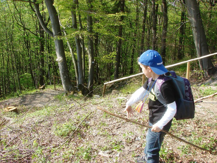 DSC09981 (700x525, 206Kb)