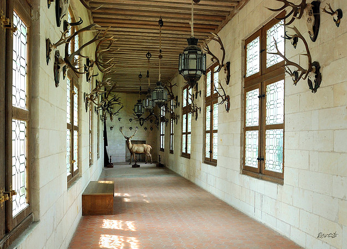 Chambord Hall of Horns  Flickr - Photo Sharing! (700x503, 905Kb)