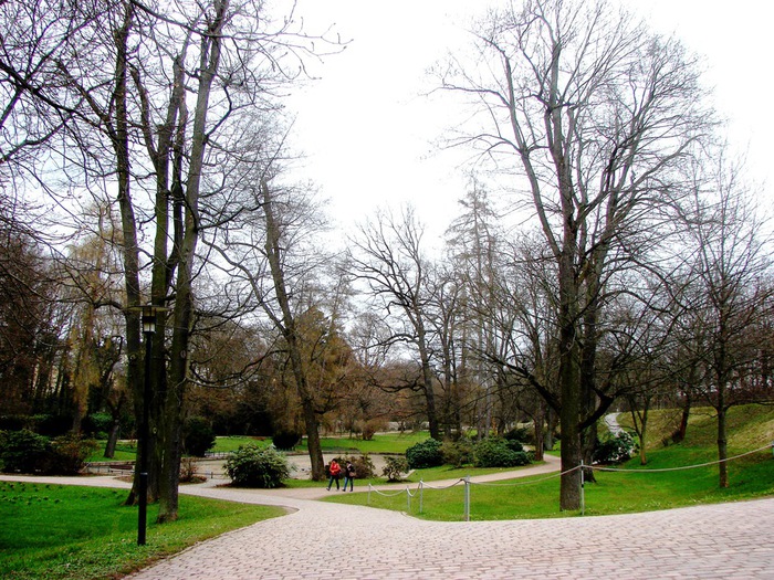 DSC08891 (700x525, 201Kb)