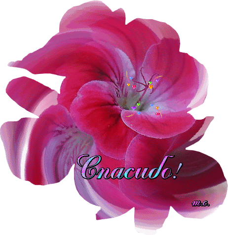 !!_���~1 (462x477, 1166Kb)