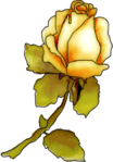  Rose9. (240x343, 109Kb)