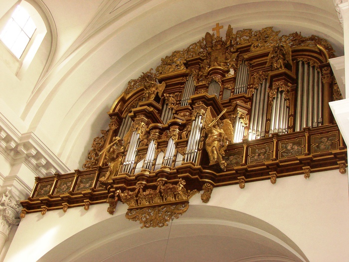 DSC08809 (700x525, 184Kb)