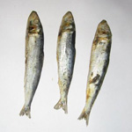 dried-fish_small (150x150, 8Kb)
