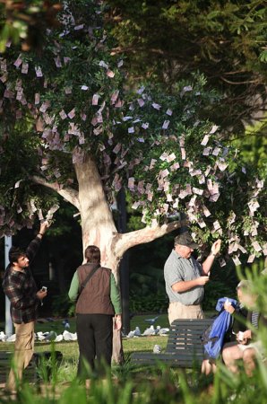 1280126814_money_tree_02 (298x450, 48Kb)