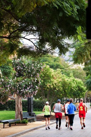 1280126760_money_tree_04 (300x450, 54Kb)