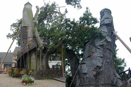 chapel-oak-allouville (500x333, 43Kb)