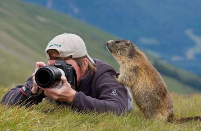 Fun_animals_58 (640x417, 41Kb)