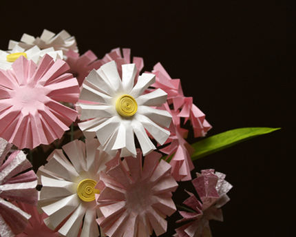 pink_white_3_lg (430x344, 58Kb)