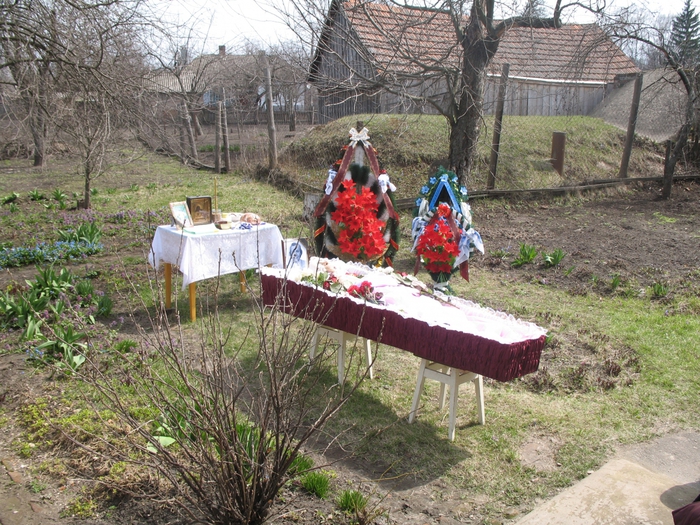 4016659_IMG_4395 (700x525, 386Kb)