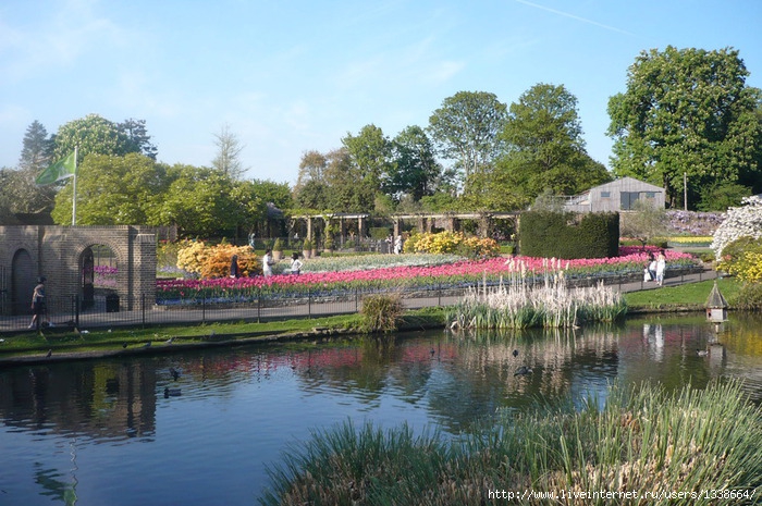 P1060520 (700x465, 299Kb)