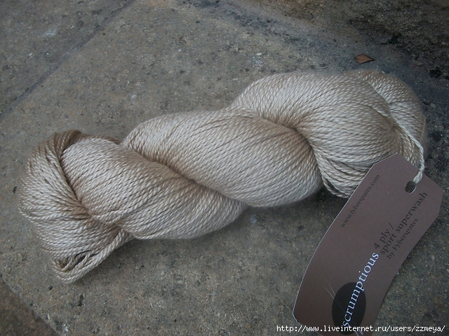 101_1381_medium2 (640x480, 287Kb)