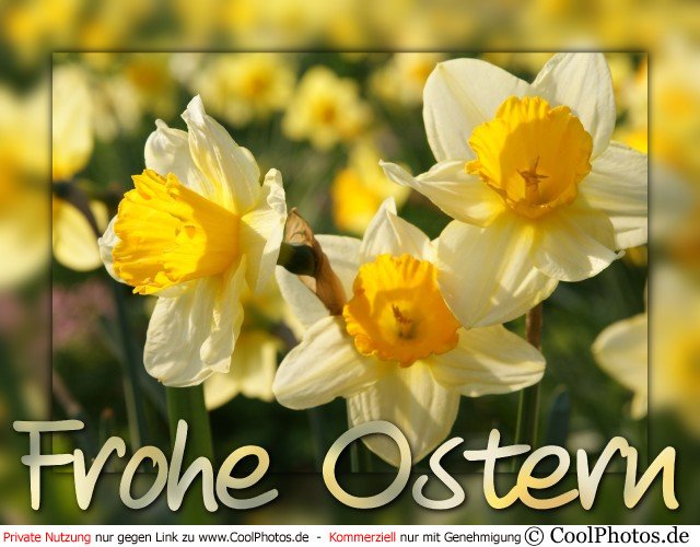 0407_05409_frohe_ostern (640x500, 65Kb)