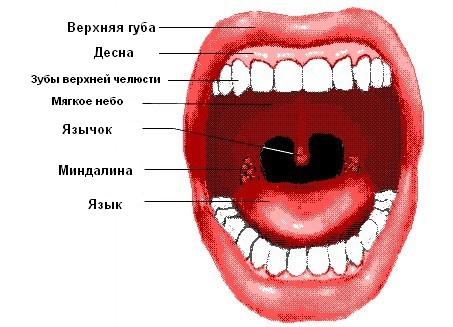 Mindalini (453x327, 29Kb)