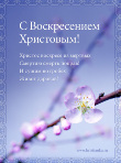 4016659_i4 (110x148, 9Kb)
