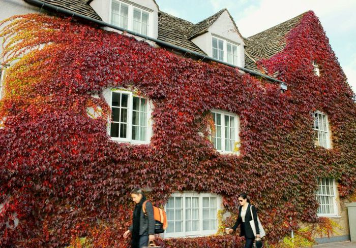 4163023_Red_leafcovered_building_Oxford_ (700x489, 114Kb)