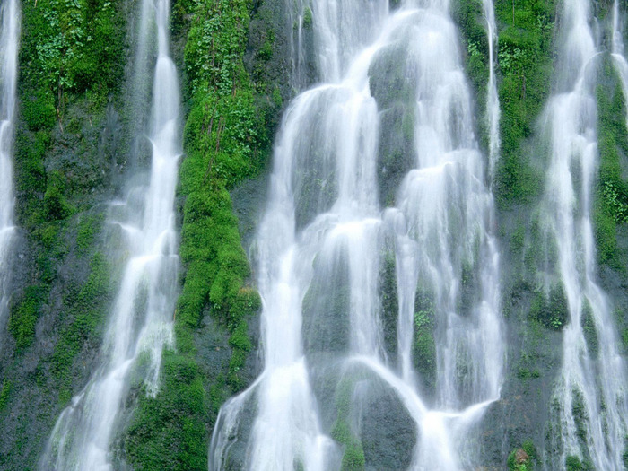 Gifford Pinchot National Forest, Washington - 16 (700x525, 164Kb)