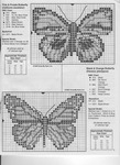 ������ CSB-203 Butterfly Collection (6) (508x700, 142Kb)