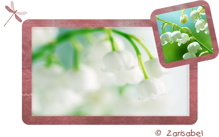 Preview_of (430x270, 136Kb)