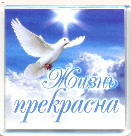 zhizn_prekrasna (463x480, 39Kb)