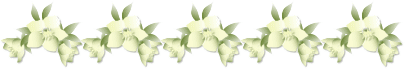 0_59caf_14d992ed_L (405x69, 9Kb)