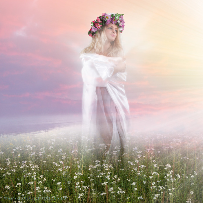 4109394_large (700x700, 145Kb)