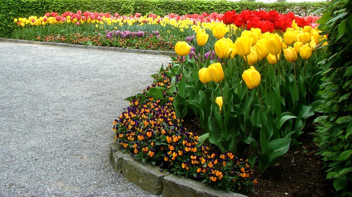 DSC00673 (700x392, 169Kb)