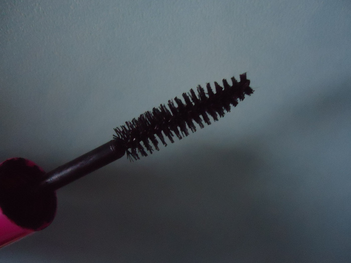 DSC00240 (700x525, 92Kb)